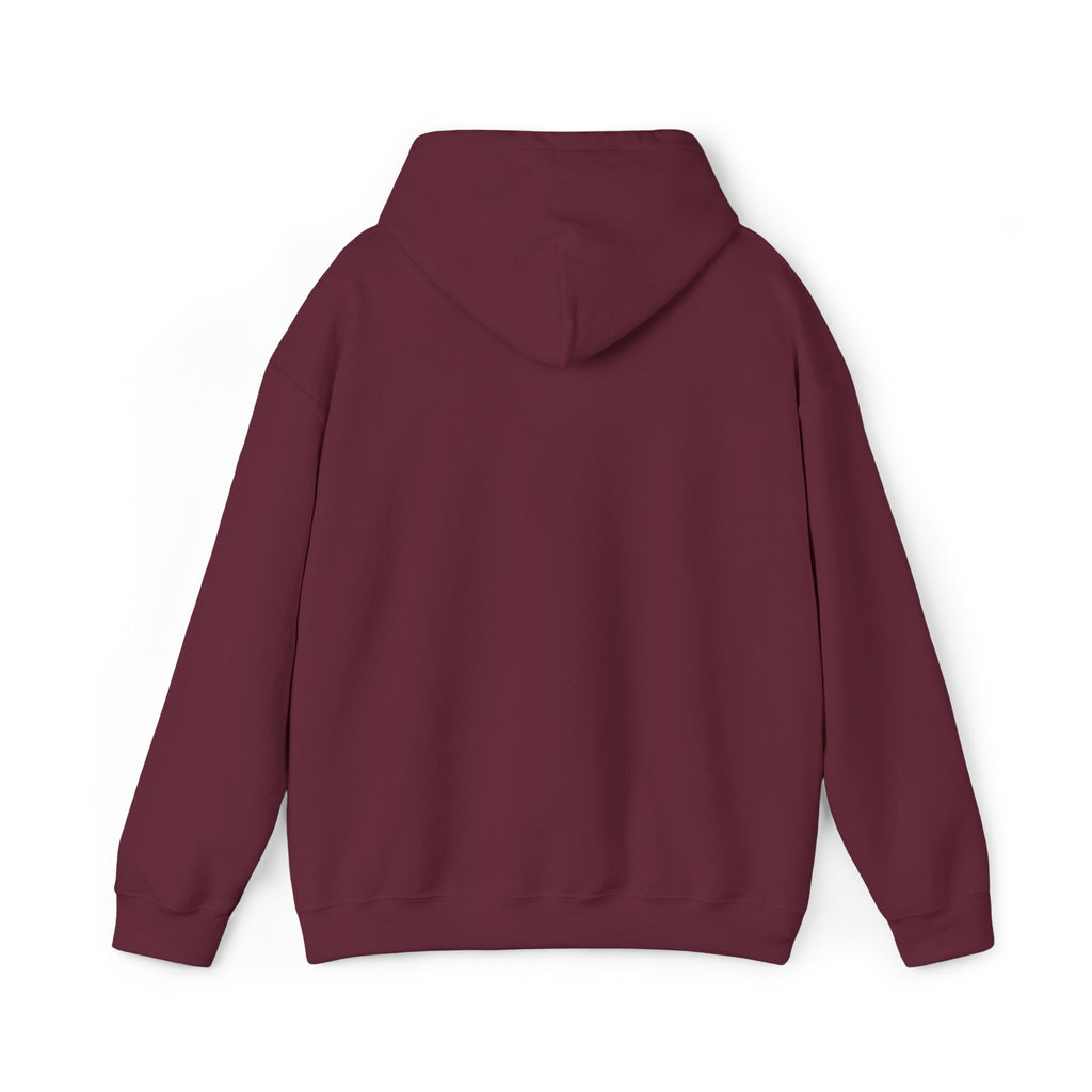 Protect Our Parks - Embroidered Hoodie