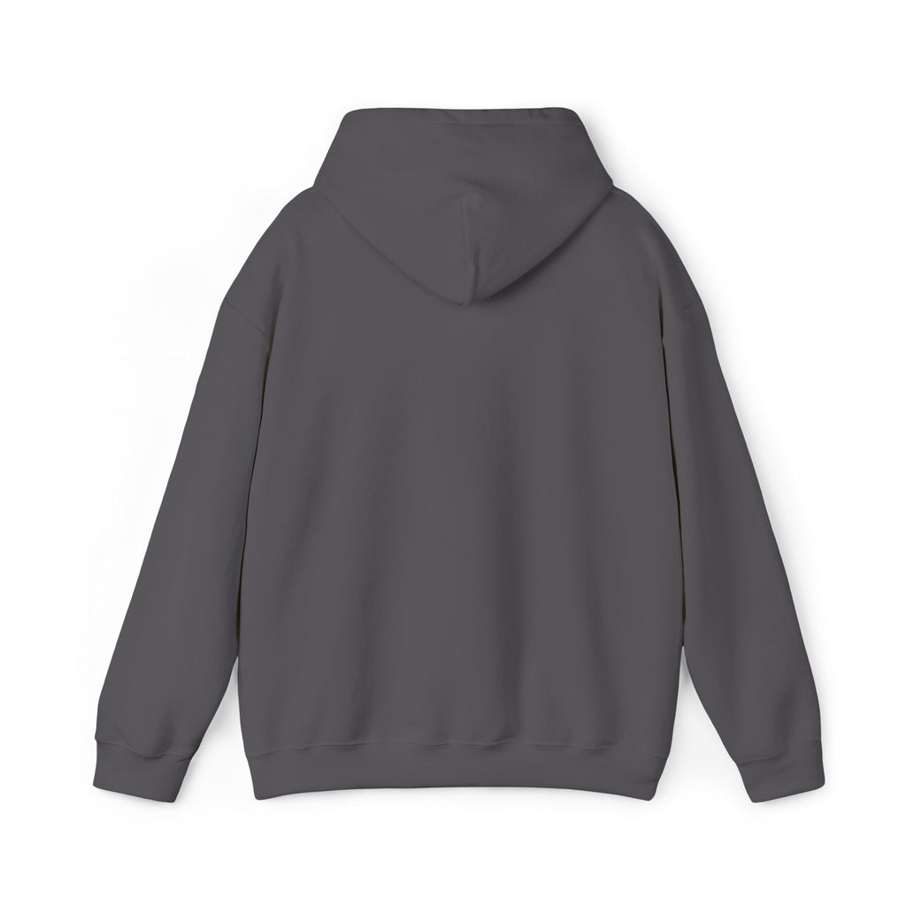 Protect Our Parks - Embroidered Hoodie