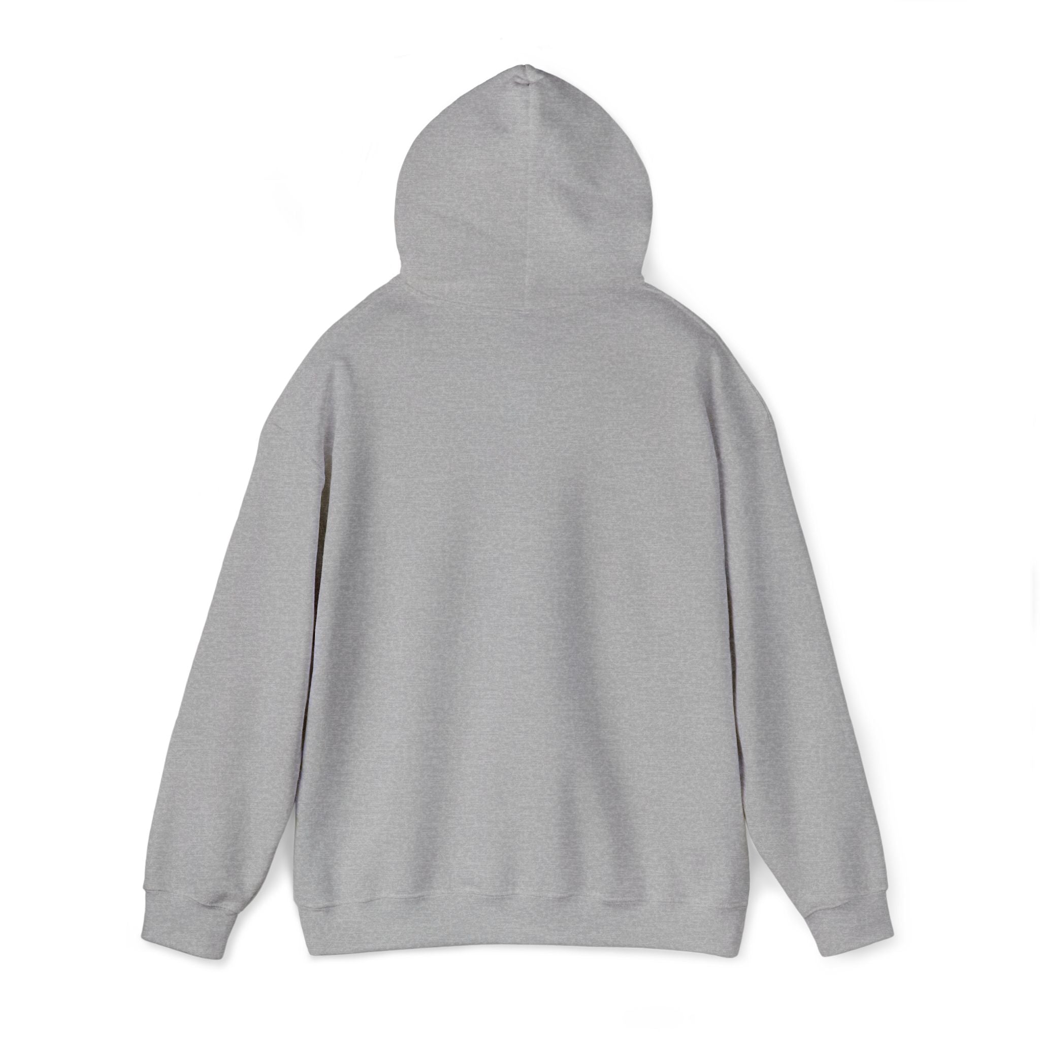 Protect Our Parks - Embroidered Hoodie