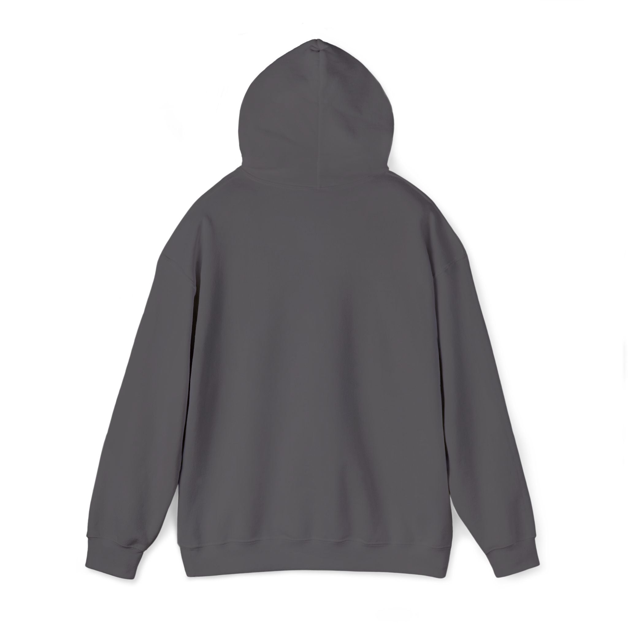Protect Our Parks - Embroidered Hoodie